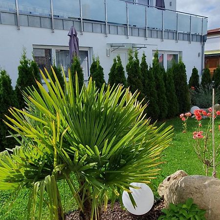 Ferienwohnungen "Godewind", Appartements Mit Balkon Oder Terrasse Zinnowitz Exterior photo