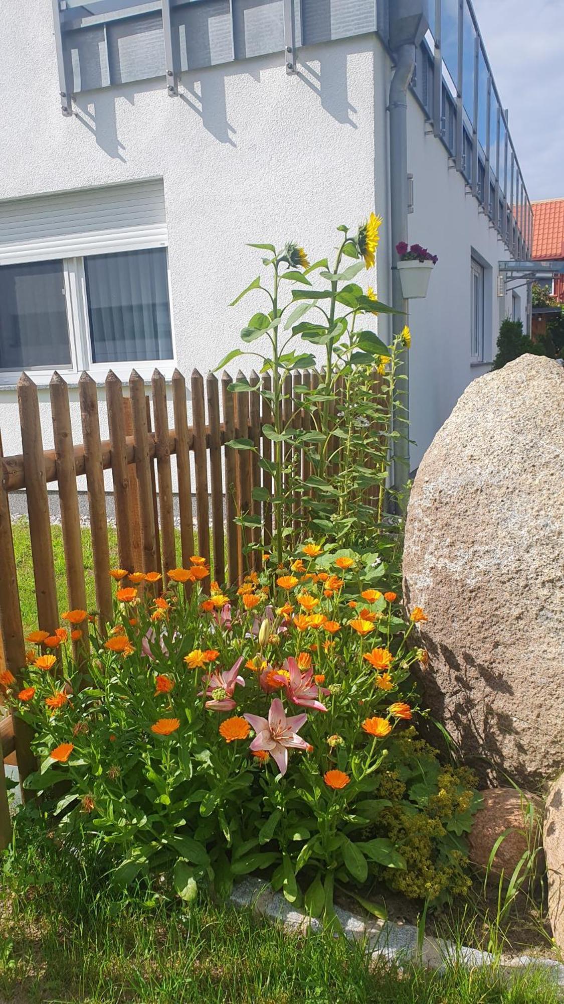 Ferienwohnungen "Godewind", Appartements Mit Balkon Oder Terrasse Zinnowitz Exterior photo