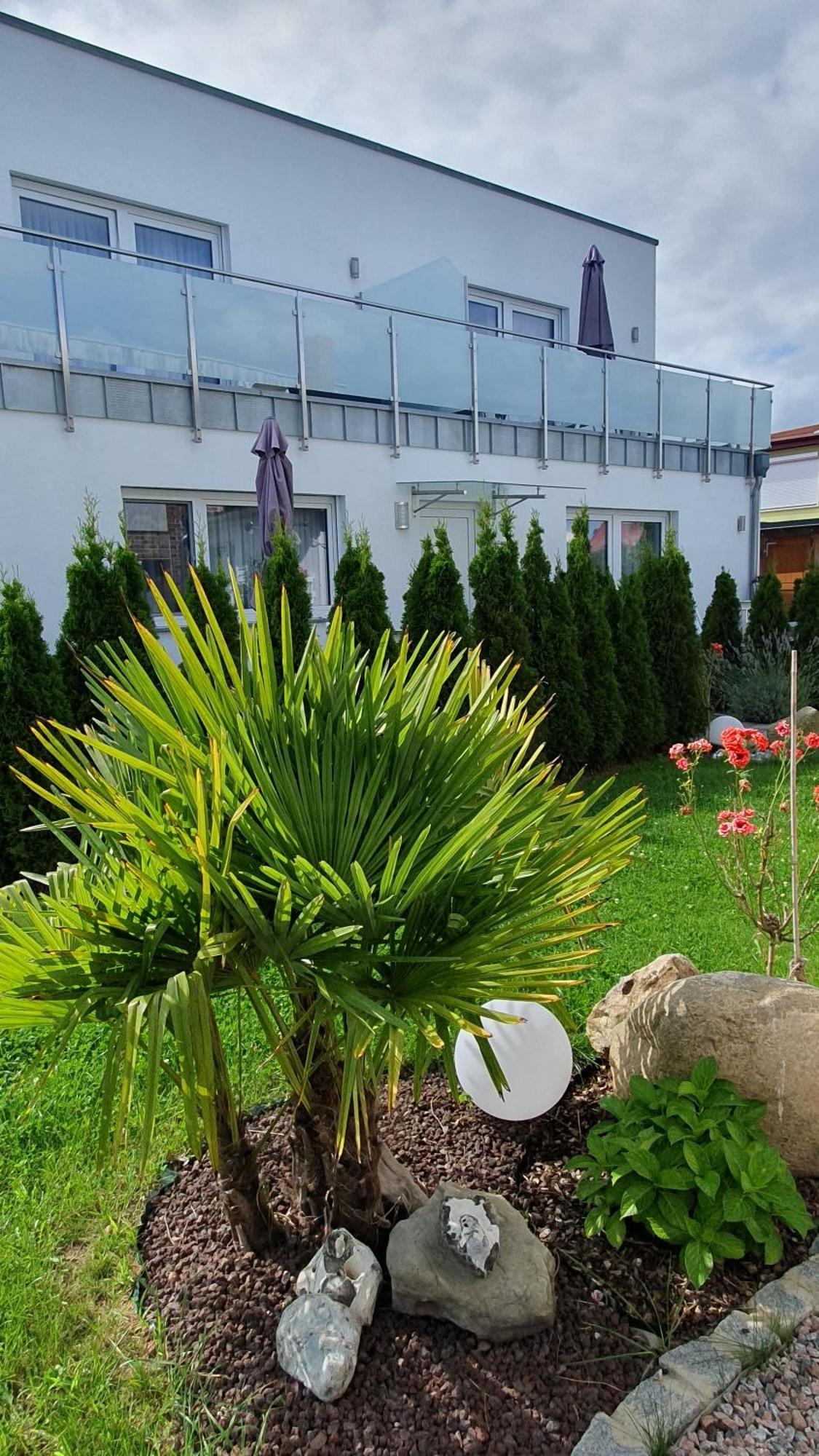 Ferienwohnungen "Godewind", Appartements Mit Balkon Oder Terrasse Zinnowitz Exterior photo